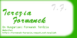 terezia formanek business card